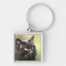 Black Cat Head Study Keychain