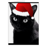 Black Cat Holiday Note Cards
