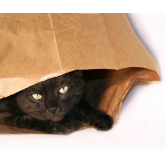 Black cat in a bag mousepad mousepad