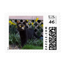 Black Cat In Daffodils Postage Stamp