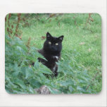 Black Cat in Grass Looks Curious Mousepad