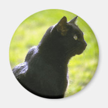 Black Cat in Profile Refrigerator Magnet