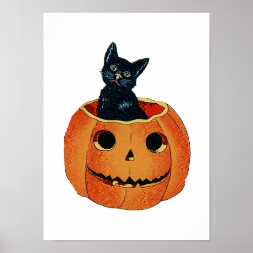 Black Cat in Pumpkin print