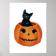 Black Cat in Pumpkin Posters