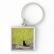 Black Cat in Rice Paddy Key Chain