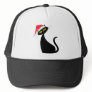 Black Cat in Santa Hat
