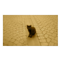 Black Cat In Sepia posters