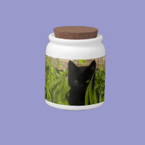 Black Cat in Tulips Kitty Treat/Candy Jar candy jars