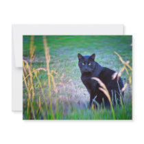 Black Cat Personalized Invitation