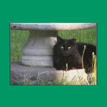 Black Cat ~ iPad Mini Powis case powis icase