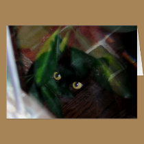 Black Cat Looking Through the Glass cards