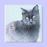 Black Cat Magnet magnets