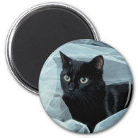 Black Cat Magnet