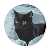 Black Cat Magnet