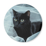 Black Cat Magnet