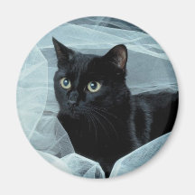 Black Cat Magnet