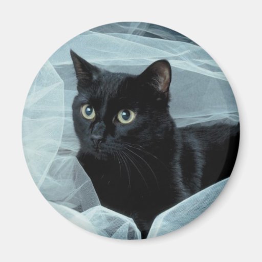 Black Cat Magnet