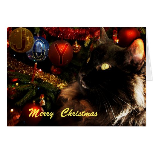 Black Cat Merry Christmas Card | Zazzle