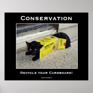 Black Cat Motivational Posters print