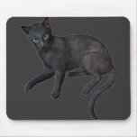 Black Cat Mouse Mats