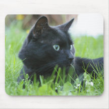 Black Cat Mousepad