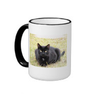 Black Cat Mug mug