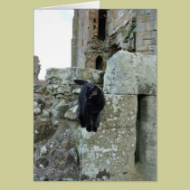 "Black Cat on a Castle Wall" (2) cards