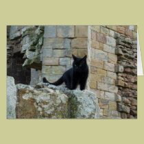 "Black Cat on a Castle Wall" (3) cards
