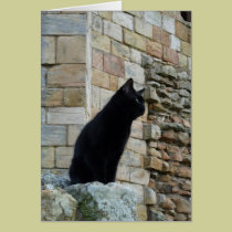 "Black Cat on a Castle Wall" cards