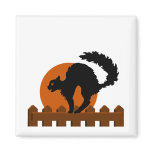 Black Cat on Fence Black Cat on Fence