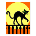 Black Cat On Fence Postcard