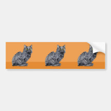 Black Cat orange cutout Sticker Bumper Stickers