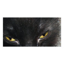Black cat photo cards by OLANartist Black cat photo cards