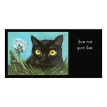 Black cat photo cards