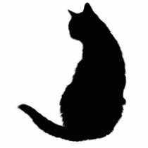 Black Cat photo sculptures