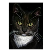 black cat portrait photograph painting poster
