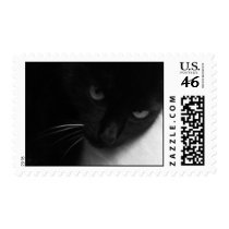 Black Cat postage