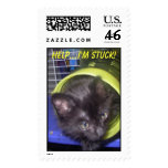 Black Cat Stamps