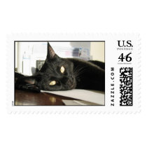 black cat postage