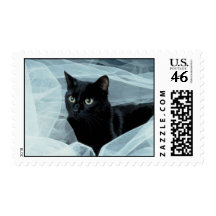 Black Cat Postage