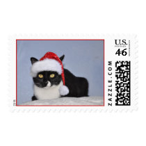 Black Cat Postage stamps