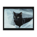 Black Cat Postcard by forbes1954 Black Cat Postcard