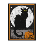 'Black Cat' Postcard