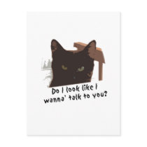 black cat post card
