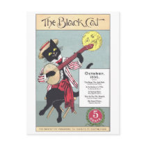Black Cat Postcard postcards