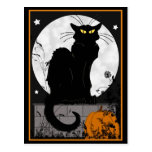 'Black Cat' Postcard