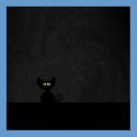 BLACK CAT posters