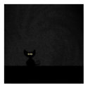 BLACK CAT posters