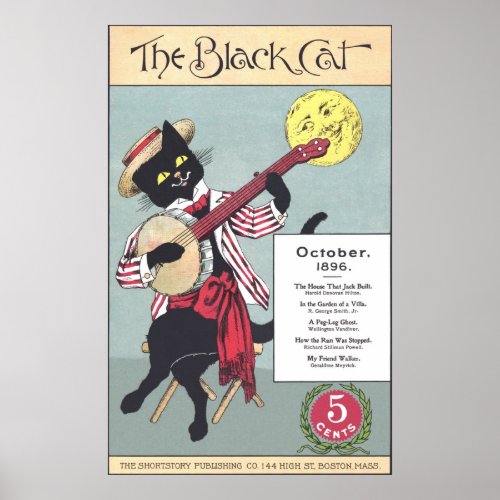 Black Cat Poster print