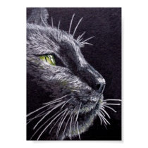 Black Cat posters